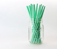 Mint Green Paper Straws (25 pcs.)