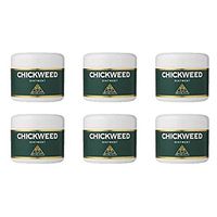 (6 PACK) - Bio-Health Chickweed Ointment | 42g | 6 PACK - SUPER SAVER - SAVE MONEY