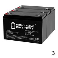 Mighty Max Battery 6V 12AH F2 Battery Replaces Panasonic LC-R0612P1, LCR0612P1-3 Pack Brand Product