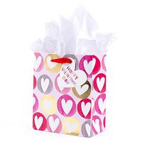 Hallmark 6" Small Valentine's Day Gift Bag with Tissue Paper (Heart In Dots On Pink)