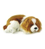 Wind & Weather Perfect Petzzz Cavalier King Charles Puppy