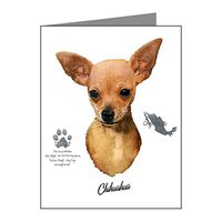 Note Cards (10 Pack) Chihuahua from Toy Group and Mexico