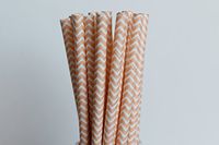 Peach Chevron Paper Straws (25)