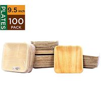 Raj Disposable Palm Leaf Plates [100-Pack] 9.5" Square Plates Strong and Reusable Party Plates - Decorative Compostable Tableware for Lunch, Dinner, Birthday, Camping, Outdoor BBQ, Picnic Parties