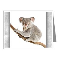 Note Card Koala Bear on Branch