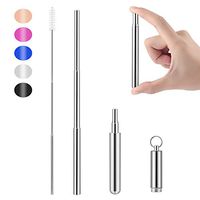 Yoocaa Collapsible Reusable Metal Straws - Portable Stainless Steel Drinking Straws with Carrying Case and Cleaning Brush - Silver