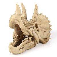 LXX Dinosaur Triceratops Skull Replica Resin Crafts Dinosaur Tooth Skull Fossil Teaching Skeleton Model Home Aquarium Decor