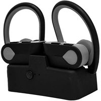 True Wireless Earhook Earbuds with Charging Case