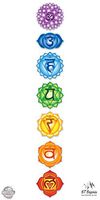 GT Graphics Chakras Set of 7-6" Total Sheet Area - Vinyl Stickers - for Car Laptop I-Pad Phone Helmet Hard Hat - Waterproof Decals