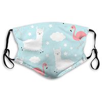 Reusable Dust Mouth Guard, Alpaca Llama Flamingo Breathable Half Face Guard with Replaceable Filter for Adults Kids
