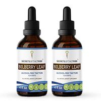 Bilberry Leaf Tincture Alcohol-Free Extract, Organic Bilberry Vaccinium Myrtillus Healthy Vision 2x4 OZ