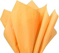 Flexicore Packaging | Apricot Orange Gift Wrap Tissue Paper | Size: 15 Inch X 20 Inch | Count: 10 Sheets | Color: Apricot | DIY Craft, Art, Wrapping, Crepe, Decorations, Pom Pom, Packing & Party
