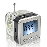 Haoponer Portable Mini Digital Display Screen Speaker USB Flash Drive Micro SD/TF Card Music MP3 Player FM Radio Black