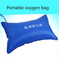 JINGYANHUA 2 pcs,Portable Domestic Large-Capacity Oxygen Bag,Pregnant Women and Elderly People Inhale Oxygen,Plateau Oxygen Bag,Non-Disposable Oxygen Bag,Adjustable,Gift Oxygen Pipe,Blue