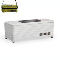 HPDOH Insulin Cooler, Portable Insulin Mini Refrigerator, 2-20 ° C Cooler, Medical Mini Refrigerator, Suitable for Car/Travel/Aircraft (200 87 72mm)