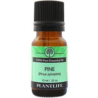 Pine Needle 100% Pure Essential Oil - 10 ml