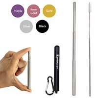 Bestie Online Reusable Collapsible Straw with Metal Case, Cleaning Brush & Hook (Black Color with Silver Straw)