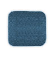 Americare Absorbent Washable Waterproof Seat Protector Pads 21”x22” - Blue