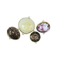 Asorted Shell Coin Purse