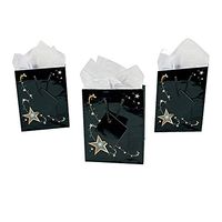 Fun Express Small Gold Star Gift Bags with Tags | 12 Count | Great for Birthday Party, Wedding Favor, Graduation Party