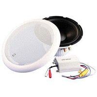 PolyPlanar 10" Panel Mount Subwoofer w/Amplifier (MS250) (17089)