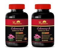 Metabolism and Energy Booster - Echinacea & Goldenseal Root 300MG - goldenseal and echinacea Capsules - 2 Bottles (120 Capsules)