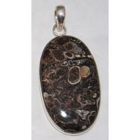 Sterling Silver Turitella Agate Pendant Jewellery No.3143