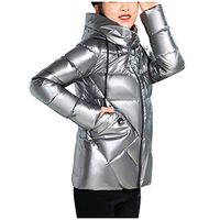 2019 New Womens Glossy Oversized Thicken Down Coats Winter Warm Outdoor Soft Long Sleeve Hooded Coats (Silver, XL)