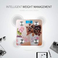 Beautiful Puppy Sitting in The Cup Body Fat Percentage Digital Scales Body Scientific Scale Tracks 8 Key Compositions Analyzer Sync with Fitness Apps 400 Lbs