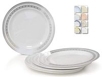" OCCASIONS" 120 Plates Pack, Heavyweight Disposable Wedding Party Plastic Plates (10.5'' Dinner Plate, Lace in White & Silver)