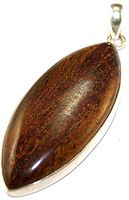 Sterling Silver Tigers Iron Pendant Jewellery PEND441