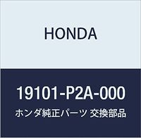 Genuine Honda 19101-P2A-000 Reserve Tank
