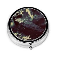 Raven Bird Background Round Silver Pill Box Pocket 2 Inches Medicine Tablet Holder Organizer Case for Purse