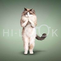 Hi-Look Microfiber Cleaning Cloth, cat design - Yoga Cat - Ming