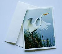 Bird Note Cards Original Elegant Photographic Textured White Blank 4.25"x 5.50" Boxed Set 8 W/Matching Envelopes In Plastic Jacket Thank You Invitations Birthdays Greetings Just Because