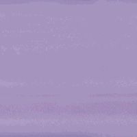 amscan Striking Solid Color Gift Wrap with Hang Tab Party Supply, Lavender, Paper , 5' X 30" Party Supplies