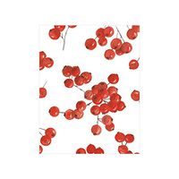 Caspari Berry Gathering Gift Enclosure Cards, 20 with Envelopes