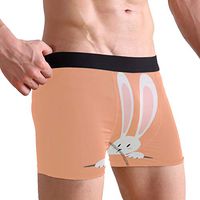 WXLIFE Cute Rabbit Bunny Hare Boxer Briefs Men's Underwear for Men Boy