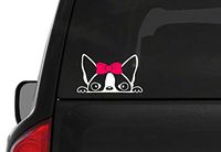 Peeking Boston Terrier Girl (A24) Pink Bow Vinyl Decal Sticker Car Laptop Window