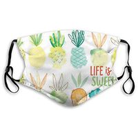 Fruit Protective Mask with Gasket Disposable Water Repellent Multilayer Filter Adult Sunscreen Large Mask M