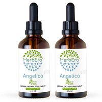 Angelica B120 (2pcs) Alcohol-Free Herbal Extract Tincture, Super-Concentrated Organic Angelica (Angelica archangelica) Dried Root (2x4 fl oz)