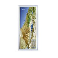 Raised Relief 3D Map of Israel (MEDIUM: 14.5 x 6.5)