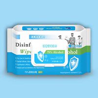 Disposable Wet Wipe 75% Alcohol Wipes Phone Eyeglass Disinfection Wipe 60 Pieces