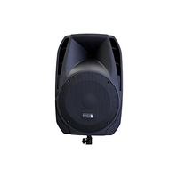 Edison Professional M-2000 Plus 15" High Power PA Speaker