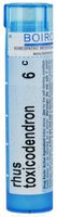 Rhus Toxicodendron 6C Homeopathic Medicine for Joint Pain (80 Pellets)