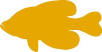 hBARSCI Fish Vinyl Decal - 5 Inches - for Cars, Trucks, Windows, Laptops, Tablets, Outdoor-Grade 2.5mil Thick Vinyl - Mustard