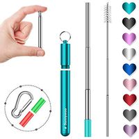 Sunnywoo Collapsible Reusable Straws,Portable Stainless Steel Metal Drinking Foldable Straw with Mint Green Travel Case & Cleaning Brush & Keychain & Silicon Tips for Adults and Kids （Silver Straw）
