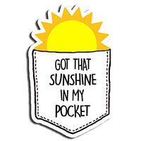 Pocket of Sunshine Sticker Funny Stickers Waterbottle Sticker Tumblr Stickers Laptop Stickers Vinyl Stickers