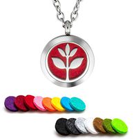 Plant Guru Essential Oil Diffuser Necklace Aromatherapy Jewelry 25mm Stainless Steel Locket Pendant with 24 Inch Adjustable Chain, 15 Washable Refill Felt Pads. (PG_Logo)