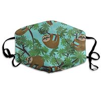 Face Mask Palm Tree Cute Sloth Blue Fabulous Cycling Half Face Earloop Dust Mask for Boys